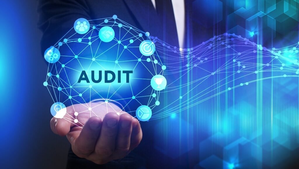 IT Auditor