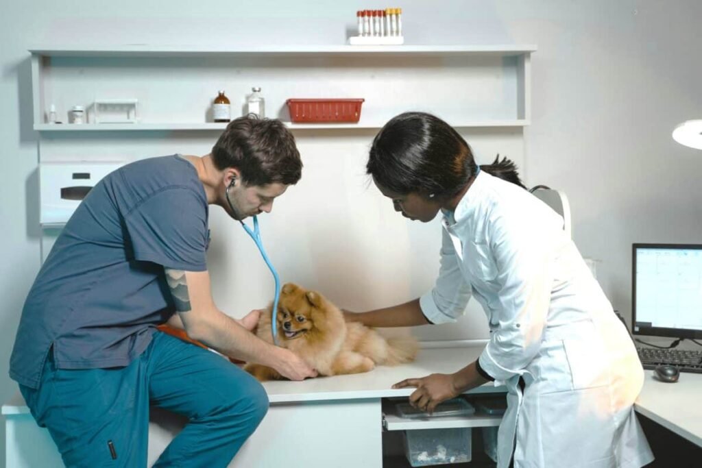 Vet Tech Salary Secrets: Boost Your Earnings Now Vet Tech Salary